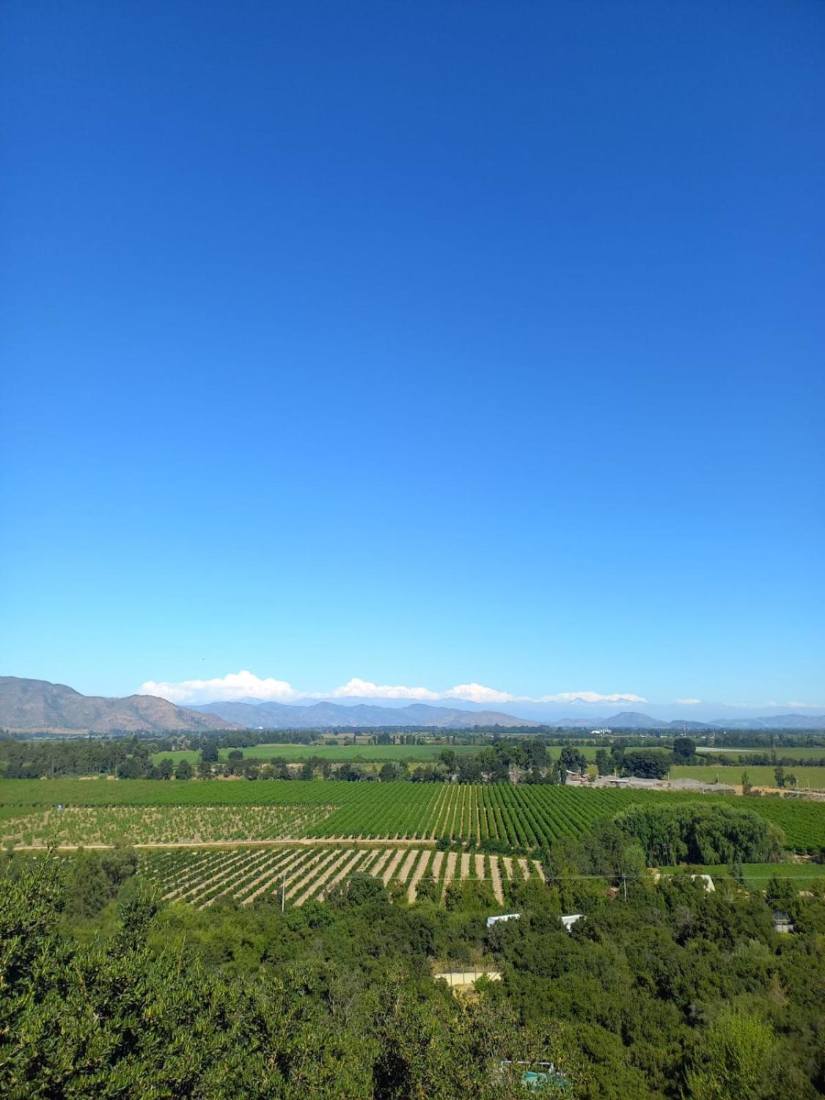 Colchagua D'Vino Hotel ซานตาครูซ ภายนอก รูปภาพ