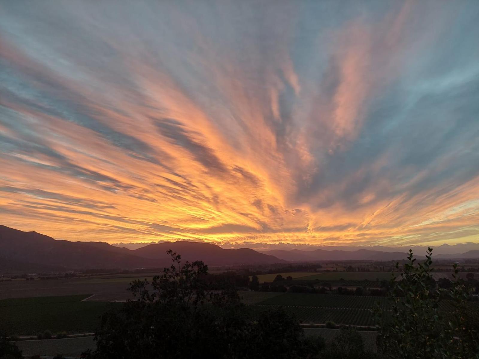 Colchagua D'Vino Hotel ซานตาครูซ ภายนอก รูปภาพ